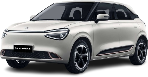 Economy: Dongfeng Nammi