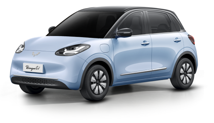 Economy: Wuling Binguo